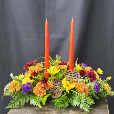 Elegant Harvest