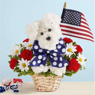 Yankee Doodle Doggie