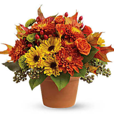 Autumn bouquet of yellow and orange flowers in a terracotta pot