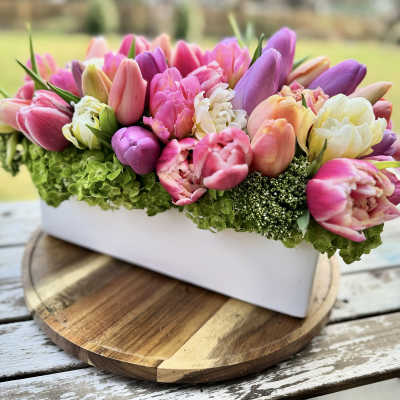 Tulip Field