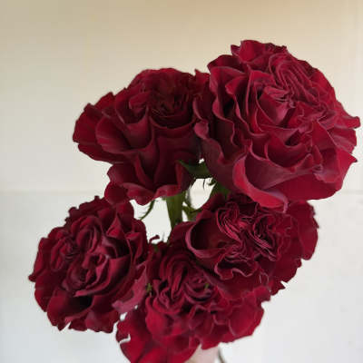 Heart Roses