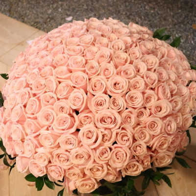 200 pink obsession