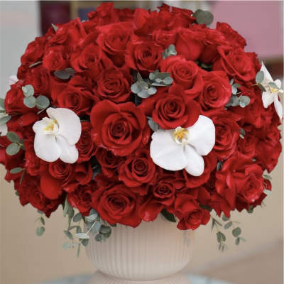 Red Obsession