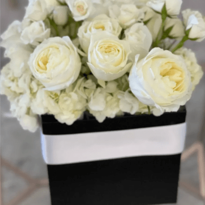 Dior Luxe