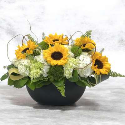 Sunflowers Garden