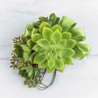 Green succulent bouquet with satin ribbon accents