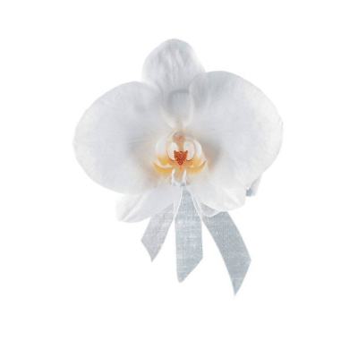 White orchid boutonniere with a pale ribbon