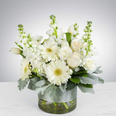 Purity by Astra Florists ™