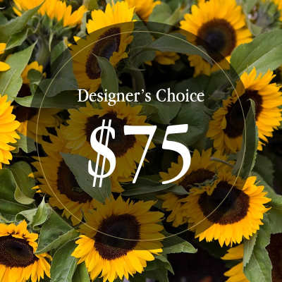 Cluster of bright yellow sunflowers with text reading Designer's Choice $75