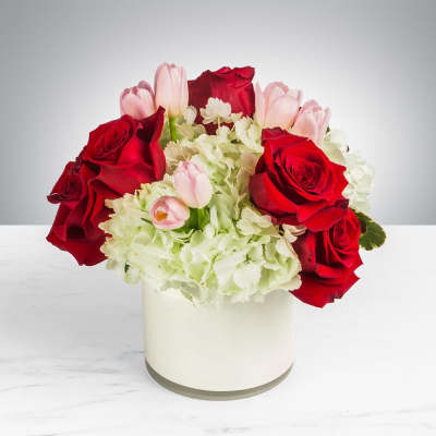 Low arrangement of red roses, pale pink tulips, and white hydrangeas in a white vase