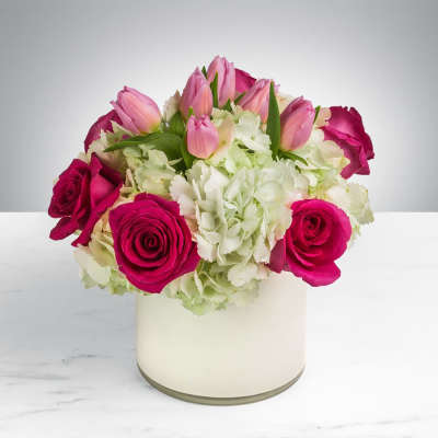 Pink tulips and magenta roses in a white vase
