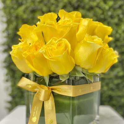 Compact arrangement of bright yellow roses in a clear cube vase with a yellow ribbon bow