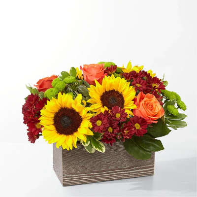 Low rectangular arrangement with yellow sunflowers, orange roses, and red mums in a wood box.