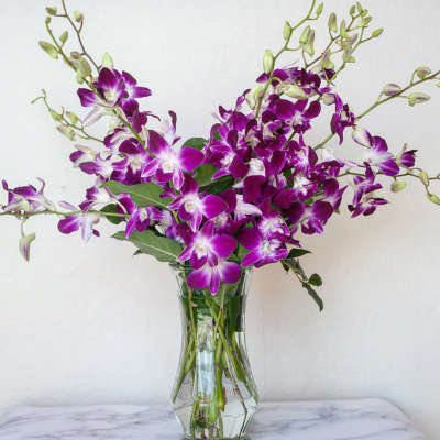Purple orchids arranged in a clear glass vase