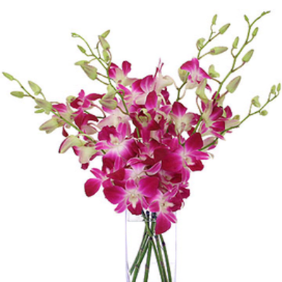 ELEGANT ORCHID BOUQUET