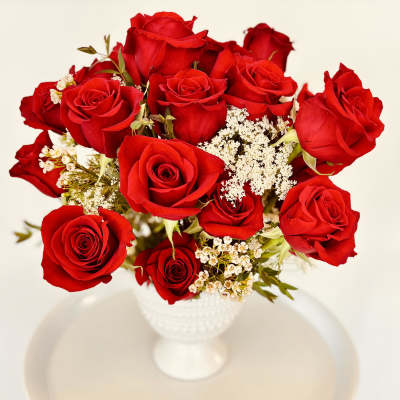 Red roses arranged in a white vase with small white filler flowers