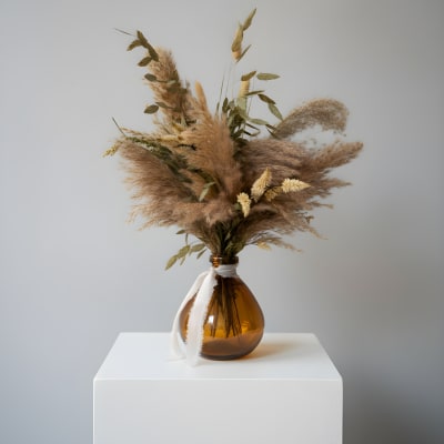 Preserved Romance