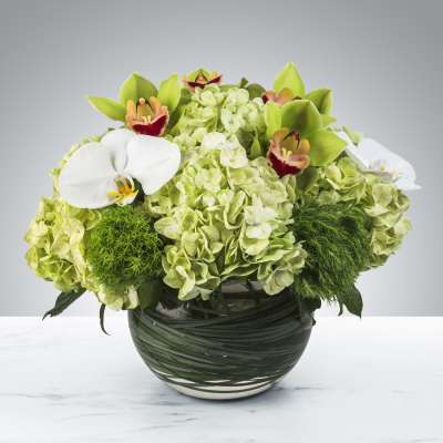 Green hydrangeas and orchids arranged in a round glass vase