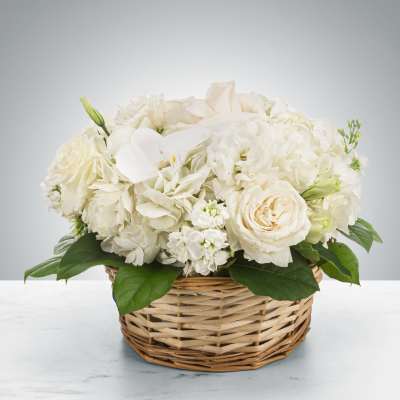 White floral arrangement in a wicker basket with green leaves