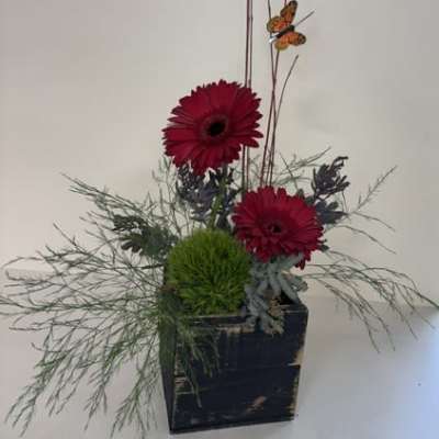 Urban Bloom