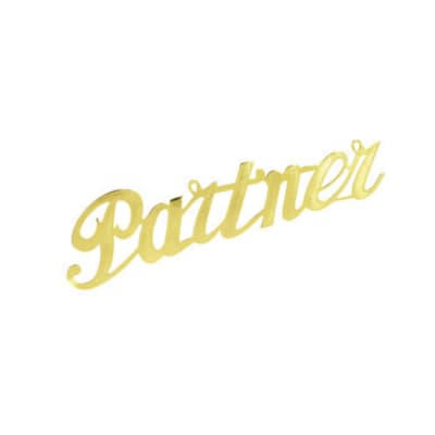 Gold script word "Partner" on a white background