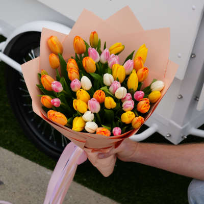 Bouquet of multicolored tulips wrapped in peach paper