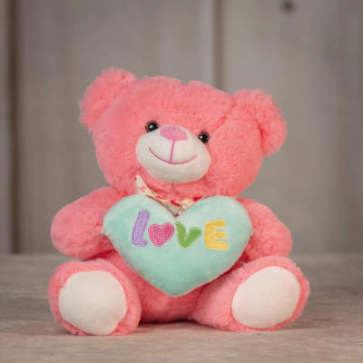 Pink teddy bear holding a mint heart pillow embroidered with the word love.