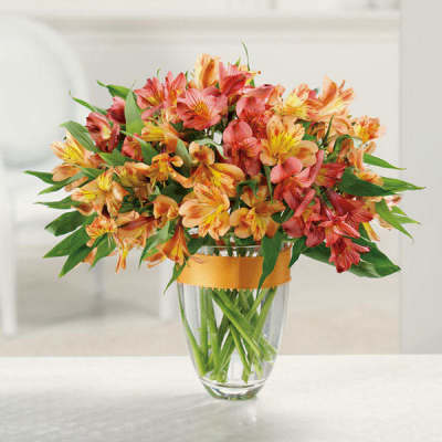 Bouquet of orange and pink alstroemeria in a clear glass vase