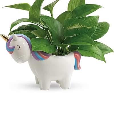 Potted green plant in a white unicorn-shaped planter