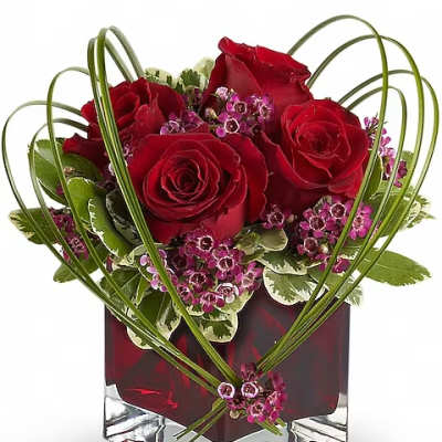 Red roses arranged in a square glass vase with looping green stems