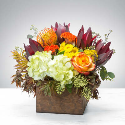 Happiness by Astra Florists ™