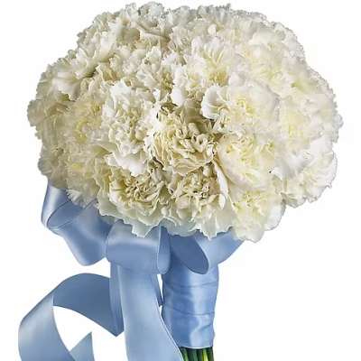 White carnation bouquet tied with a blue ribbon