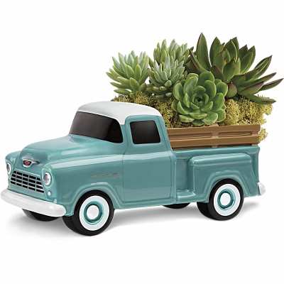Succulent arrangement in a vintage blue pickup truck planter