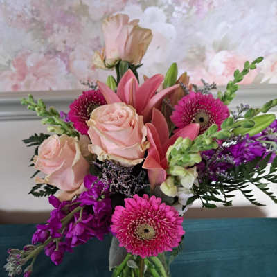 Sugarplum garden