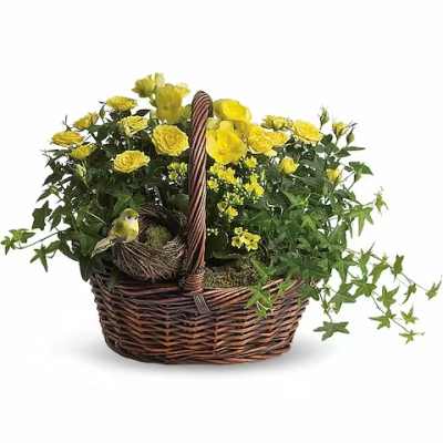 Yellow flowers in a wicker basket with a small bird nest decoration