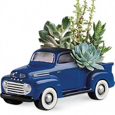 Blue toy pickup truck planter with succulents