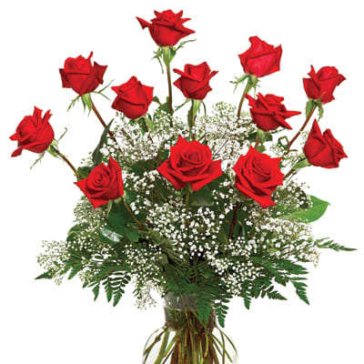 Red roses arranged in a clear glass vase with baby's breath