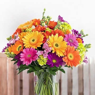 Colorful gerbera daisy bouquet in a clear glass vase