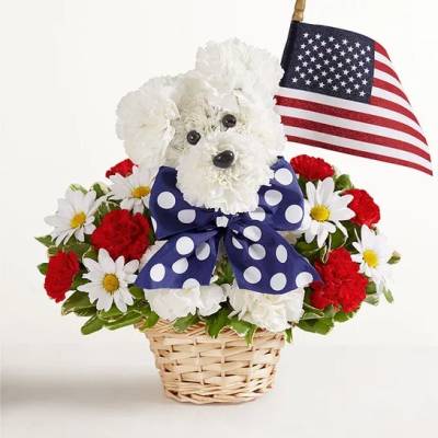 Yankee Doodle Doggy