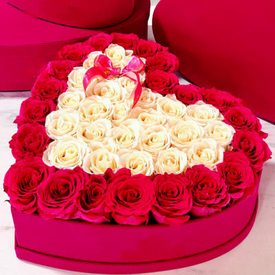 Bi Color Heart