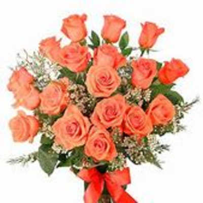 Orange Roses