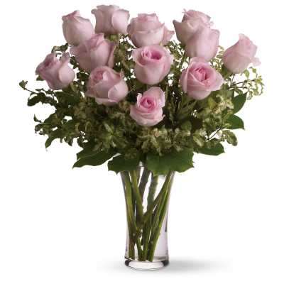 Perfectly pink roses