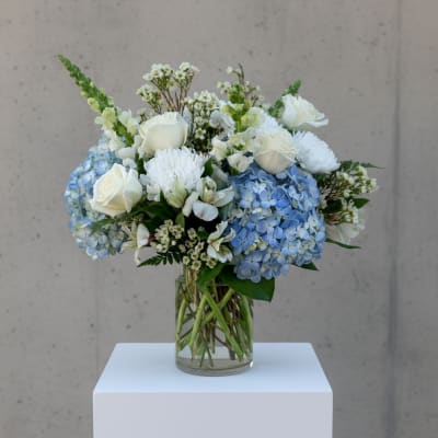 White roses and blue hydrangeas arranged in a clear glass vase