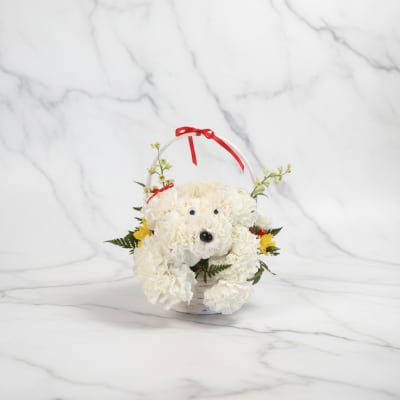 White flower basket arranged like a teddy bear with a red ribbon handle