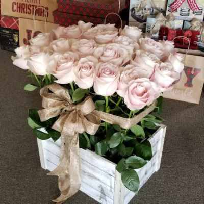 Box of pale pink roses with a burlap ribbon