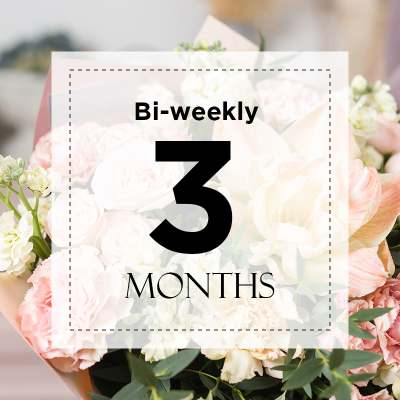 Bi-Weekly 3 Months Subscription