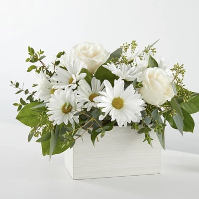 White daisies and roses arranged in a white rectangular box