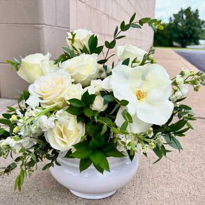 The Noor | Modern and Elegant