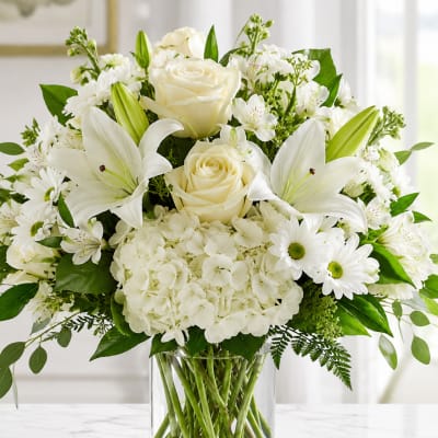 Petal Perfection's Serene Peace