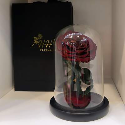 Deep Red Preserved Rose